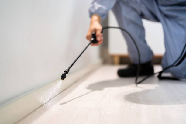 Licensed Pest Control service in Sheffield, AL - Show Me Pest Control